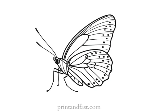 butterfly coloring page for preschoolers