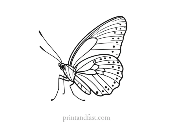 butterfly coloring page for preschoolers