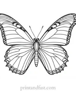 butterfly coloring page for therapy