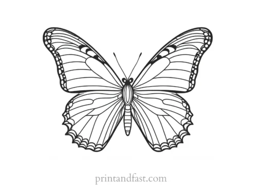 butterfly coloring page for therapy