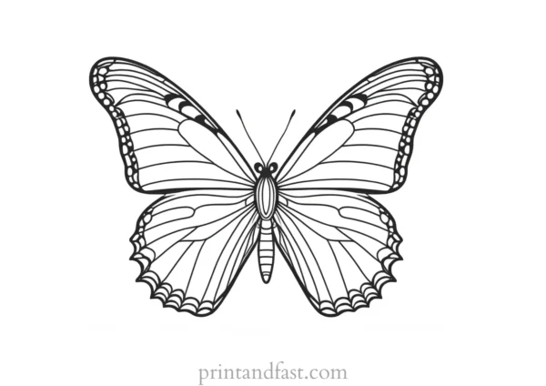 butterfly coloring page for therapy