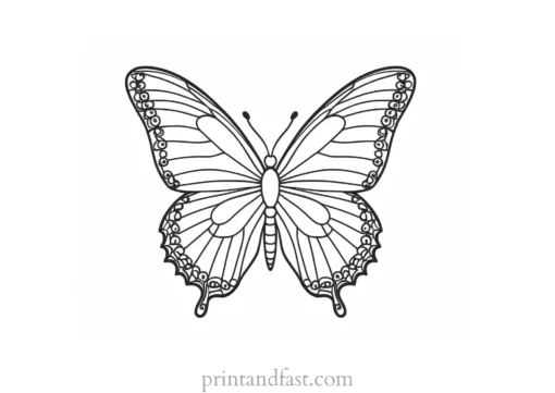 butterfly coloring page for toddlers