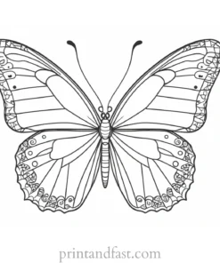 butterfly coloring page intricate