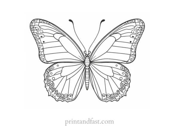 butterfly coloring page intricate