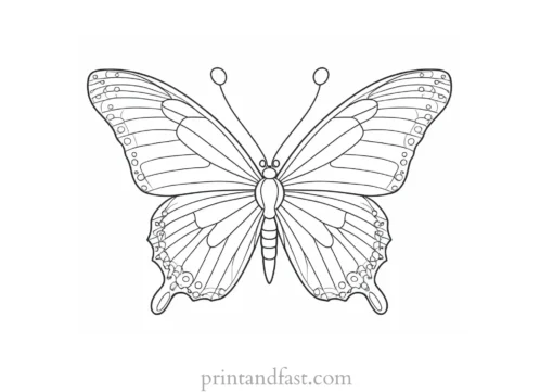 butterfly coloring page online