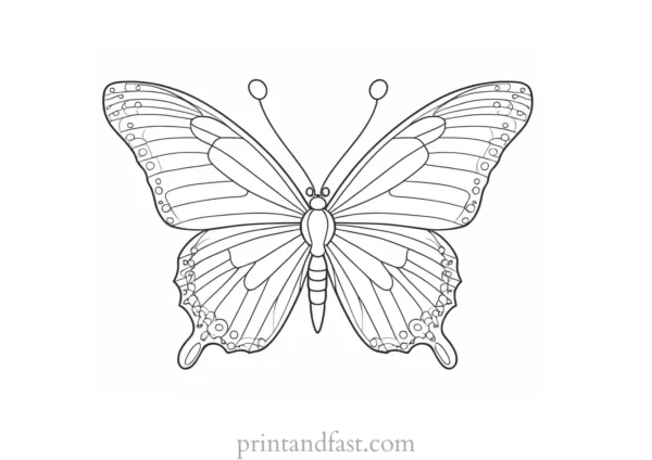 butterfly coloring page online