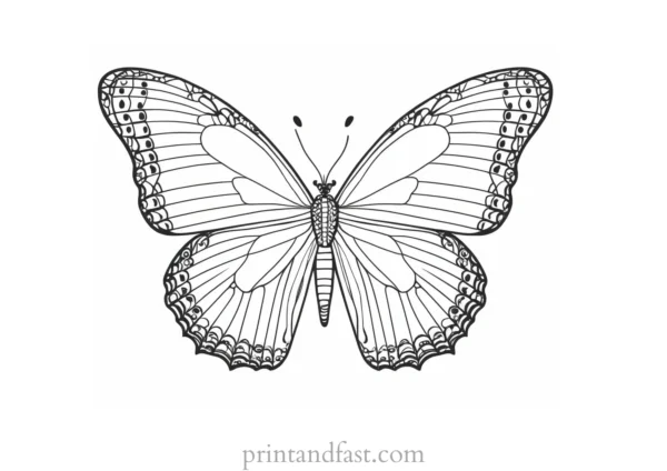 butterfly coloring page printable