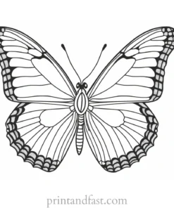 butterfly coloring page realistic