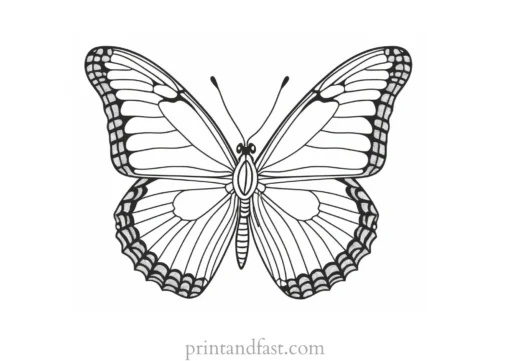 butterfly coloring page realistic