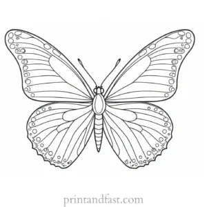 butterfly coloring page simple