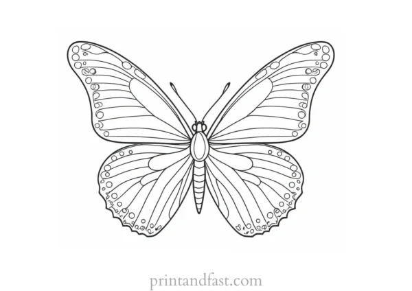 butterfly coloring page simple