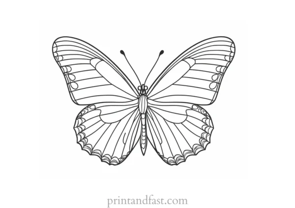 butterfly coloring page template