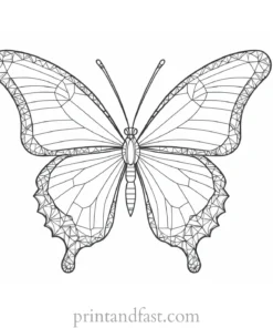 butterfly coloring page with geometric designs