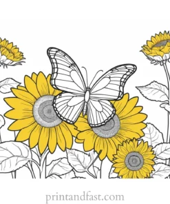 butterfly coloring page with sunflowers