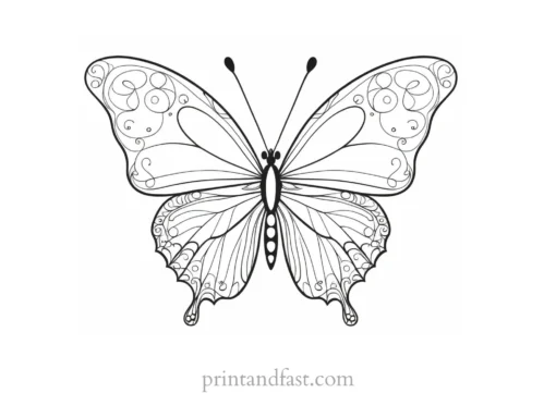 butterfly coloring page with swirls