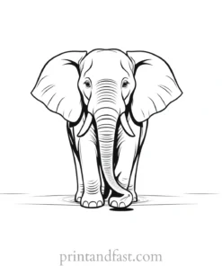 cartoon elephant coloring page