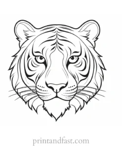 cartoon tiger coloring page