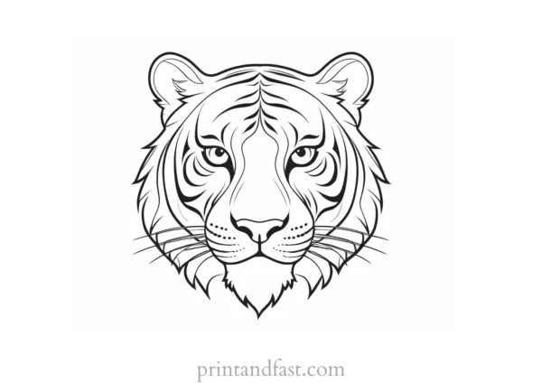 cartoon tiger coloring page