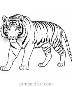 challenging tiger coloring page