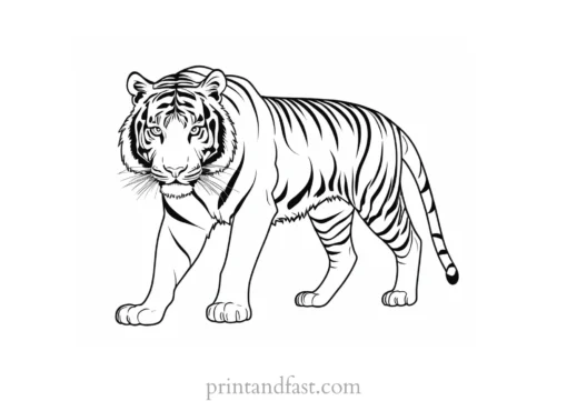 challenging tiger coloring page