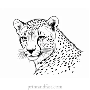 cheetah coloring page baby