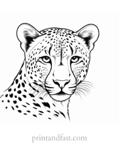 cheetah coloring page cute