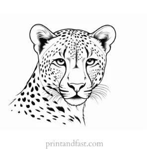 cheetah coloring page cute