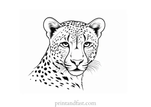 cheetah coloring page cute