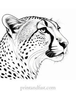 cheetah coloring page detailed