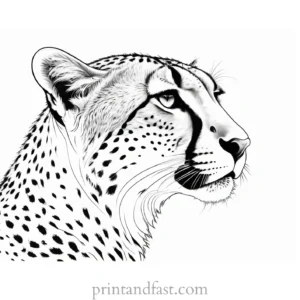 cheetah coloring page detailed