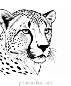 cheetah coloring page easy