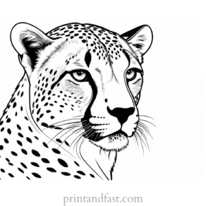 cheetah coloring page easy