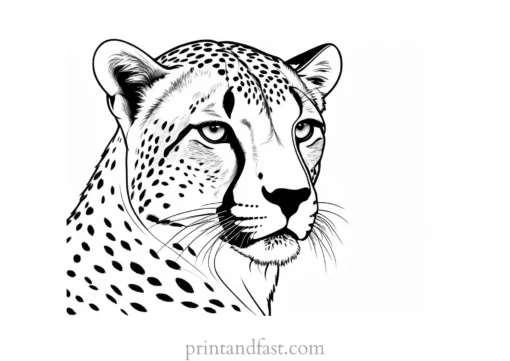 cheetah coloring page easy