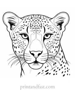 cheetah coloring page face