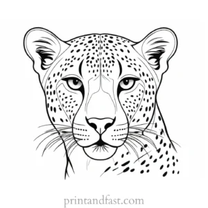 cheetah coloring page face