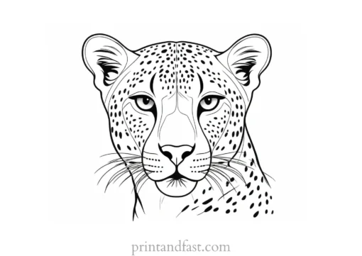 cheetah coloring page face