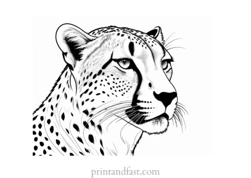 cheetah coloring page fierce