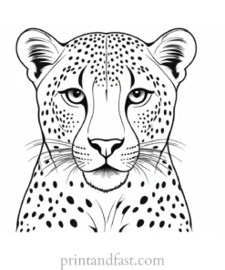 cheetah coloring page for kids