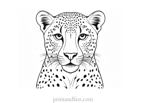 cheetah coloring page for kids