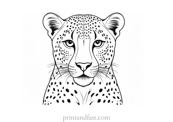 cheetah coloring page for kids