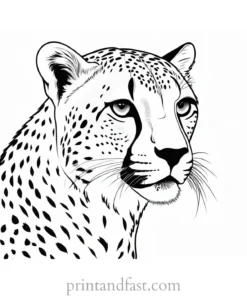 cheetah coloring page free