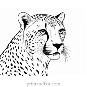 cheetah coloring page free