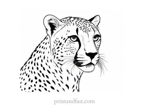 cheetah coloring page free