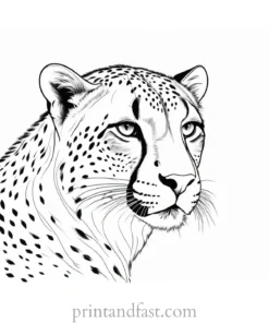 cheetah coloring page fun