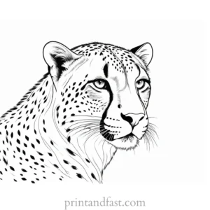 cheetah coloring page fun