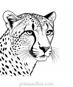 cheetah coloring page jungle