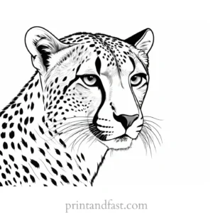 cheetah coloring page jungle