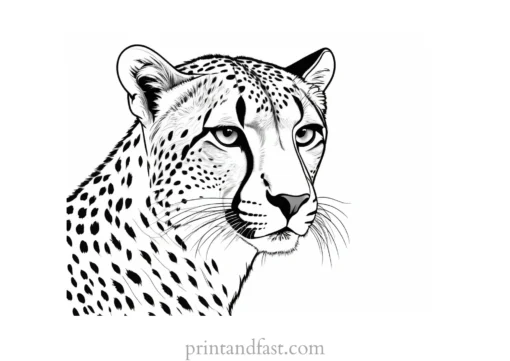 cheetah coloring page jungle