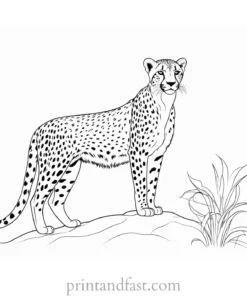 cheetah coloring page online