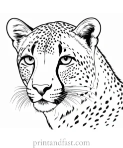 cheetah coloring page printable